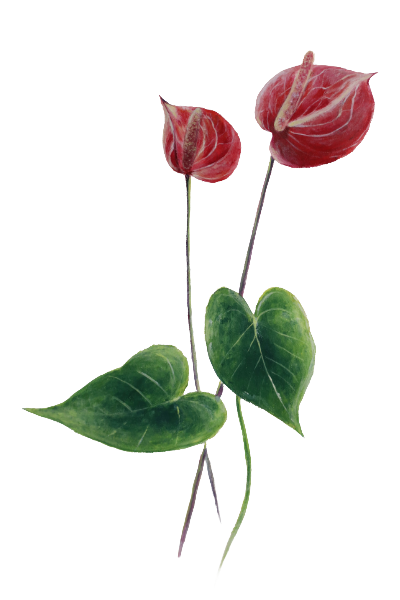 Decorative flower